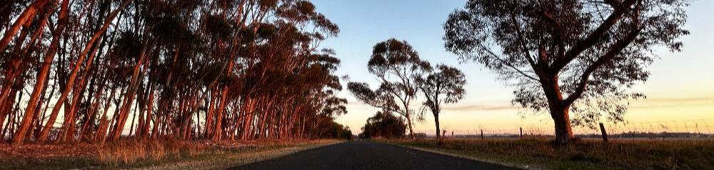 Country Road in Australia at sunset